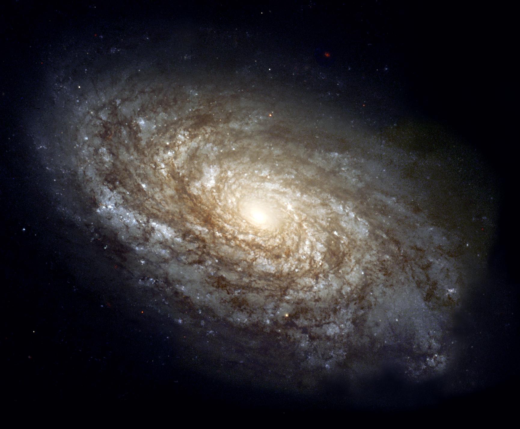 Spiral galaxy NGC 4414, the destination of the raptor’s imagination